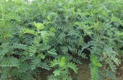 ����ʩ��ԭ�򼰷���