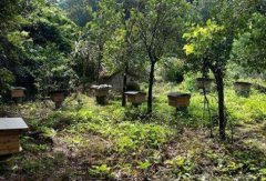 �ļ�����㶫������Ҫ����Щ�����۷�Դֲ��