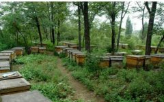 �Ϸ����������ﶬ����Ҫ����Щ�����۷�Դֲ��