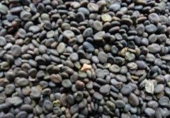 �����³����ӱ�𷽷�