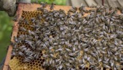 �ڷ���ѡ�����ᴿ��׳ʱ��Ӧע����Щ����