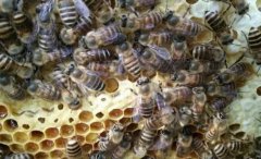 �����з�����Щ����ѧ���Լ��������ܣ�