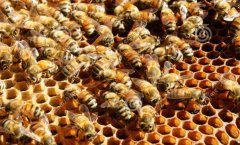 ����ҡ��ʱӦע�������