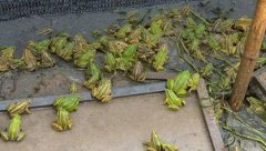 <b>80��ũ����ֳ���ܷ��������ۣ�8Ķ����׬80��</b>