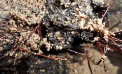 �����Ӿ���������?�ؼ�����5��!