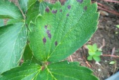 <b>����̿�Ҳ���ʶ��ͷ��η���</b>