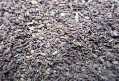 2020��3��1�ղ�����Ӽ۸�����