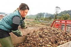 <b>���¡����Ľ�����ݭ��������������·</b>