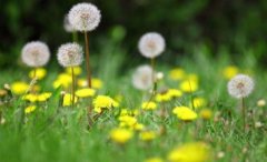 <b>����ѹ�Ӣҡ��һ���Ⱥ���¸�������</b>