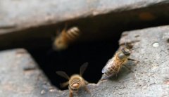 �����Ⱥ������ʲôԭ����ν����