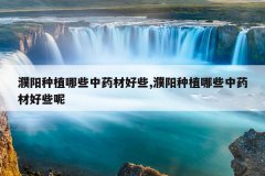 <b>�����ֲ��Щ��ҩ�ĺ�Щ,�����ֲ��Щ��ҩ�ĺ�Щ��</b>