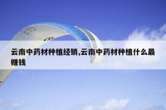 <b>������ҩ����ֲ����,������ҩ����ֲʲô��׬Ǯ</b>