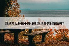 <b>���ؿ�����ֲ��ҩ����,������ҩ�ķ�����?</b>