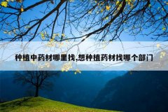 <b>��ֲ��ҩ��������,����ֲҩ�����ĸ�����</b>