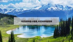 <b>��ҩ����ֲС���,��ҩ����ֲ��Ƶ</b>