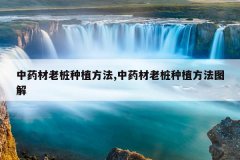 <b>��ҩ����׮��ֲ����,��ҩ����׮��ֲ����ͼ��</b>