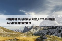 <b>��ֲ������ҩ�������Щ,2021����ֲʲôҩ����׬Ǯ�����</b>