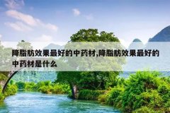 <b>��֬��Ч����õ���ҩ��,��֬��Ч����õ���ҩ����ʲô</b>