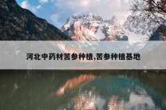<b>�ӱ���ҩ�Ŀ����ֲ,�����ֲ����</b>