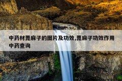 <b>��ҩ�ı����ӵ�ͼƬ����Ч,�����ӹ�Ч������ҩ��ѯ</b>