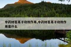 <b>��ҩ�ĲԶ��ӹ�Ч����,��ҩ�ĲԶ��ӹ�Ч������ʲô</b>