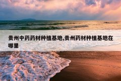 <b>������ҩҩ����ֲ����,����ҩ����ֲ����������</b>