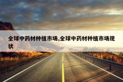 <b>ȫ����ҩ����ֲ�г�,ȫ����ҩ����ֲ�г���״</b>