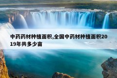 <b>��ҩҩ����ֲ���,ȫ����ҩ����ֲ���2019�깲����Ķ</b>