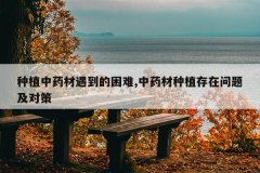 <b>��ֲ��ҩ������������,��ҩ����ֲ�������⼰�Բ�</b>