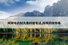 <b>������ҩ�Ĵ����ֲ�绰,����ҩ���г�</b>