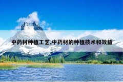 <b>��ҩ����ֲ����,��ҩ�ĵ���ֲ������Ч��</b>