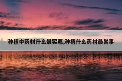 <b>��ֲ��ҩ��ʲô��ʵ��,��ֲʲôҩ����ʡ��</b>