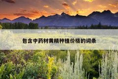 <b>������ҩ�Ļƾ���ֲ�۸�Ĵ���</b>