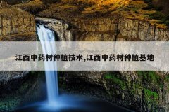 <b>������ҩ����ֲ����,������ҩ����ֲ����</b>