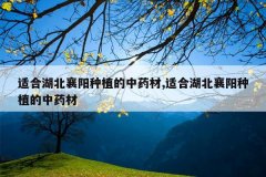 <b>�ʺϺ���������ֲ����ҩ��,�ʺϺ���������ֲ����ҩ��</b>