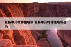 <b>������ҩ����ֲ��ѵ,������ҩ����ֲ��ѵ����</b>