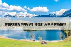 <b>��ֲ����õ���ҩ��,��ֲʲô��ҩ����ֵǮ</b>