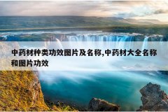 <b>��ҩ�����๦ЧͼƬ������,��ҩ�Ĵ�ȫ���ƺ�ͼƬ��Ч</b>