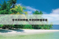 <b>����ҩ����ֲ,��ҩ����ֲ��Ŀ</b>