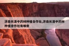 <b>���ϳ�����ҩ����ֲ������,���ϳ�����ҩ����ֲ����������Щ</b>