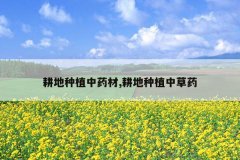 <b>������ֲ��ҩ��,������ֲ�в�ҩ</b>