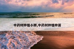 <b>��ҩ����ֲС��,��ҩ����ֲ����</b>