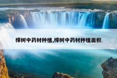 <b>������ҩ����ֲ,������ҩ����ֲ���</b>