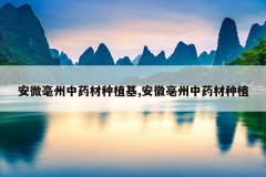 <b>��΢������ҩ����ֲ��,����������ҩ����ֲ</b>