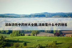 <b>��Ѫ��Ч��ҩ�Ĵ�ȫͼ,��Ѫ��ʲô��ҩ����</b>