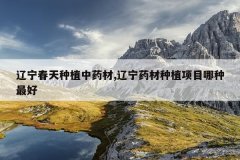 <b>����������ֲ��ҩ��,����ҩ����ֲ��Ŀ�������</b>