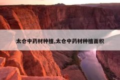 <b>̫����ҩ����ֲ,̫����ҩ����ֲ���</b>