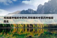 <b>У԰����ֲ����ҩ��,ѧУ����в�ҩ��ֲ԰ȡ��</b>