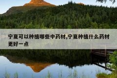 <b>���Ŀ�����ֲ��Щ��ҩ��,������ֲʲôҩ�ĸ���һ��</b>