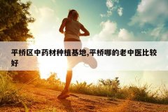 <b>ƽ������ҩ����ֲ����,ƽ���ĵ�����ҽ�ȽϺ�</b>